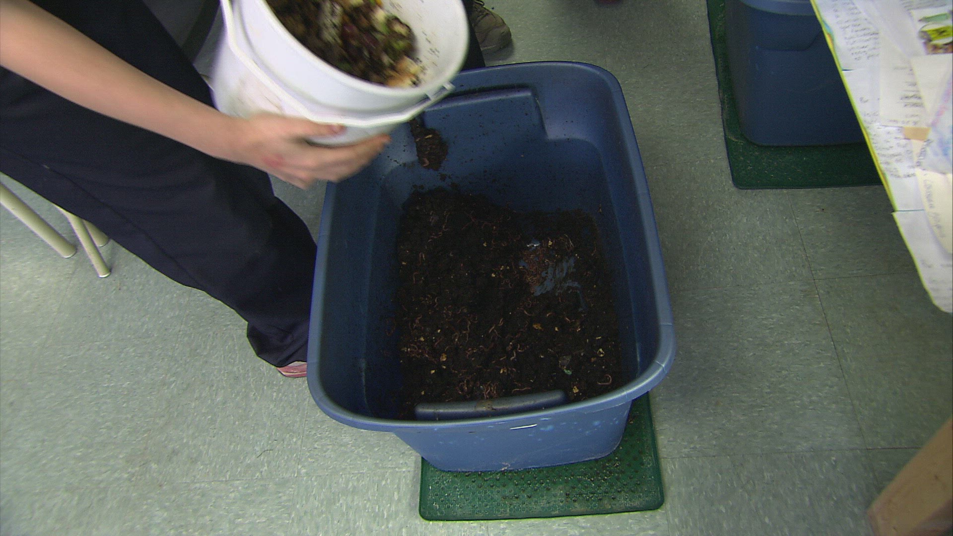119853469 / Compost / Worm