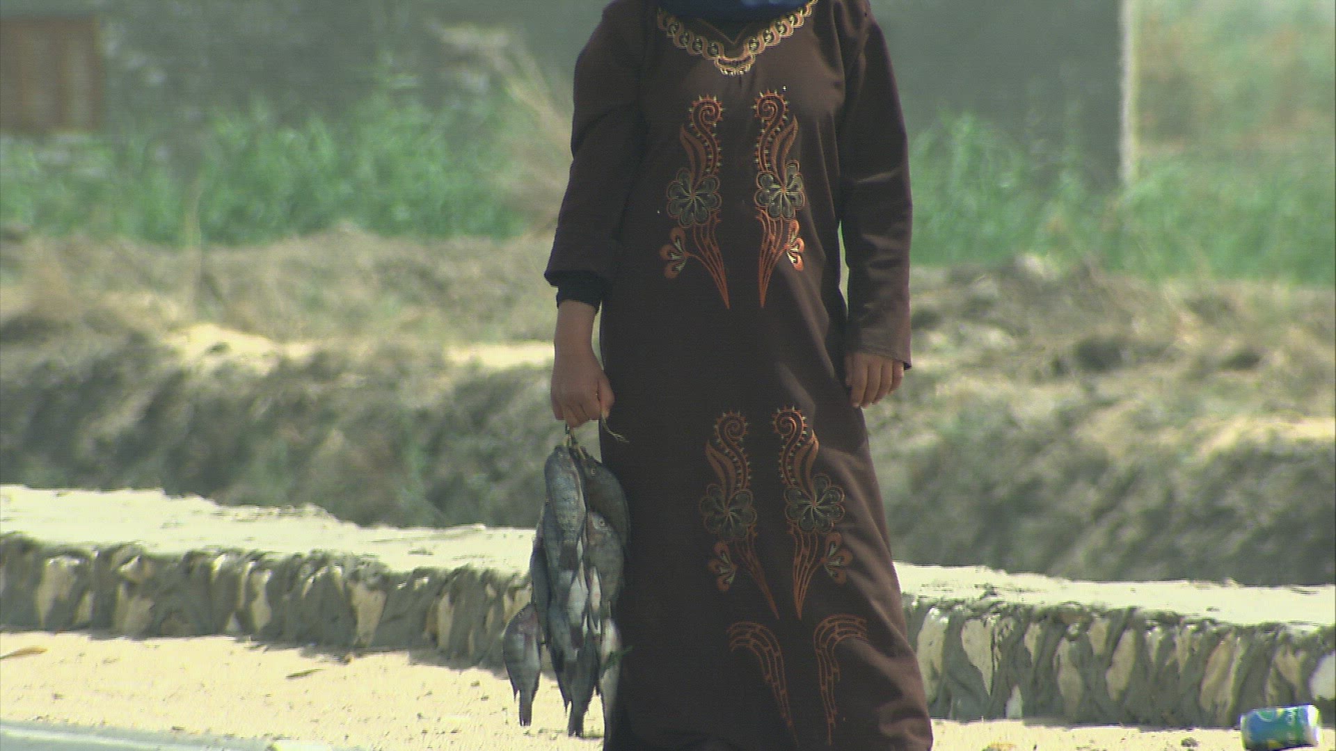 545343151 / Woman / Hijab / Egypt