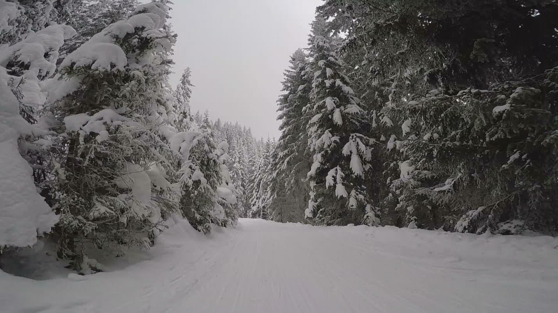 675282060 / Sledging / POV