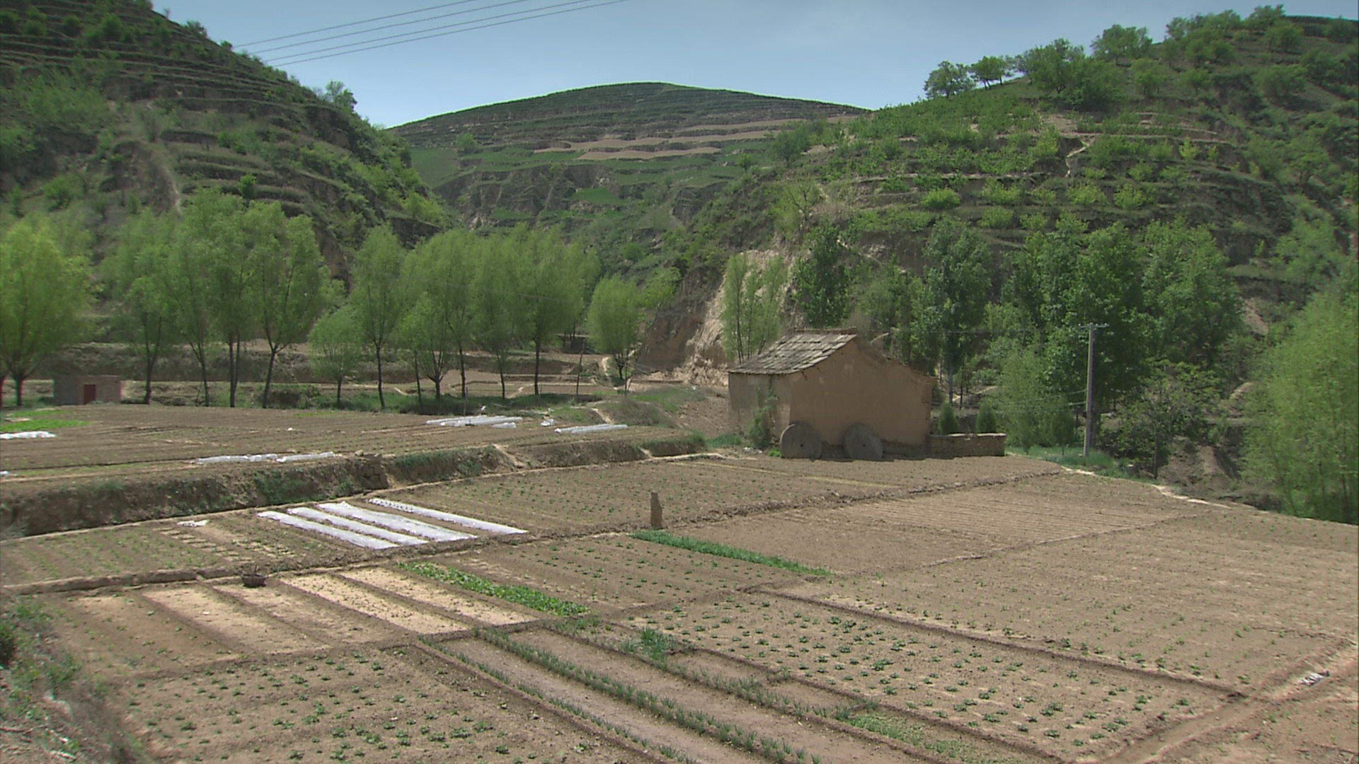 179213243 / Terraced Field / Landscape / China