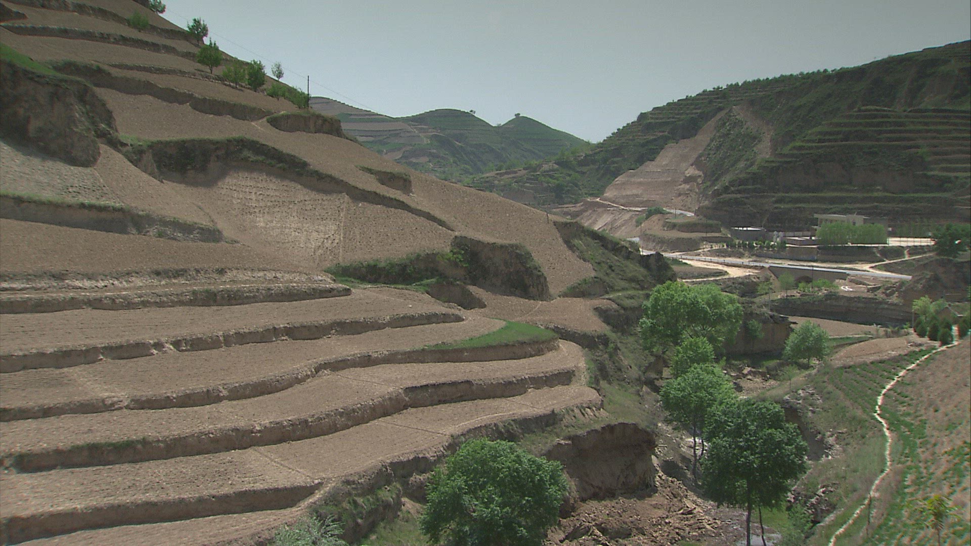 331464904 / Terraced Field / Landscape / China