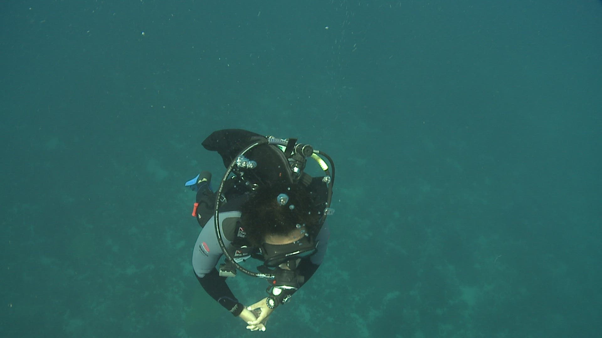 473313327 / Diver / Breathing Out / Underwater Shot