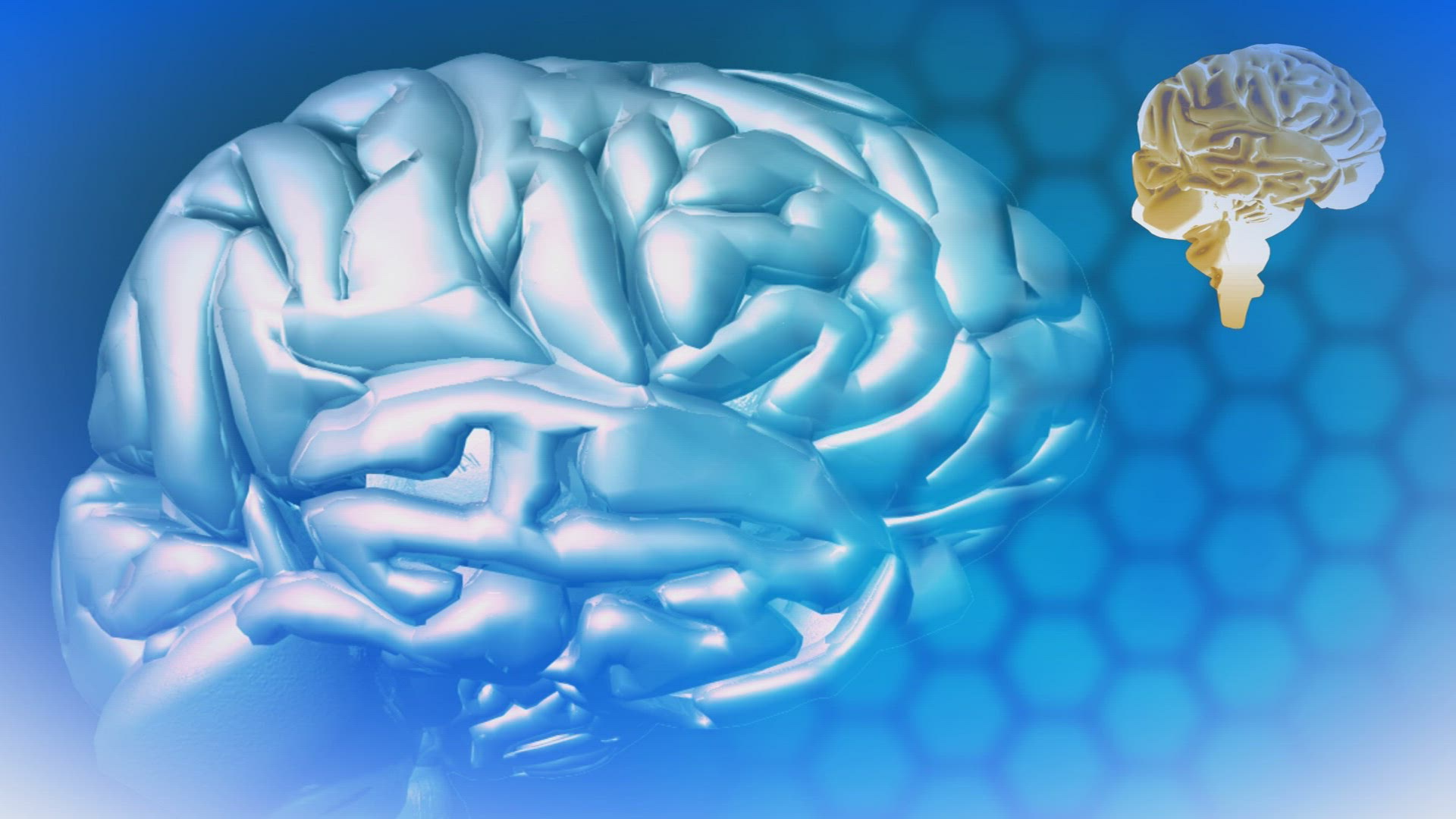 922684424 / Brain / Computer Animation
