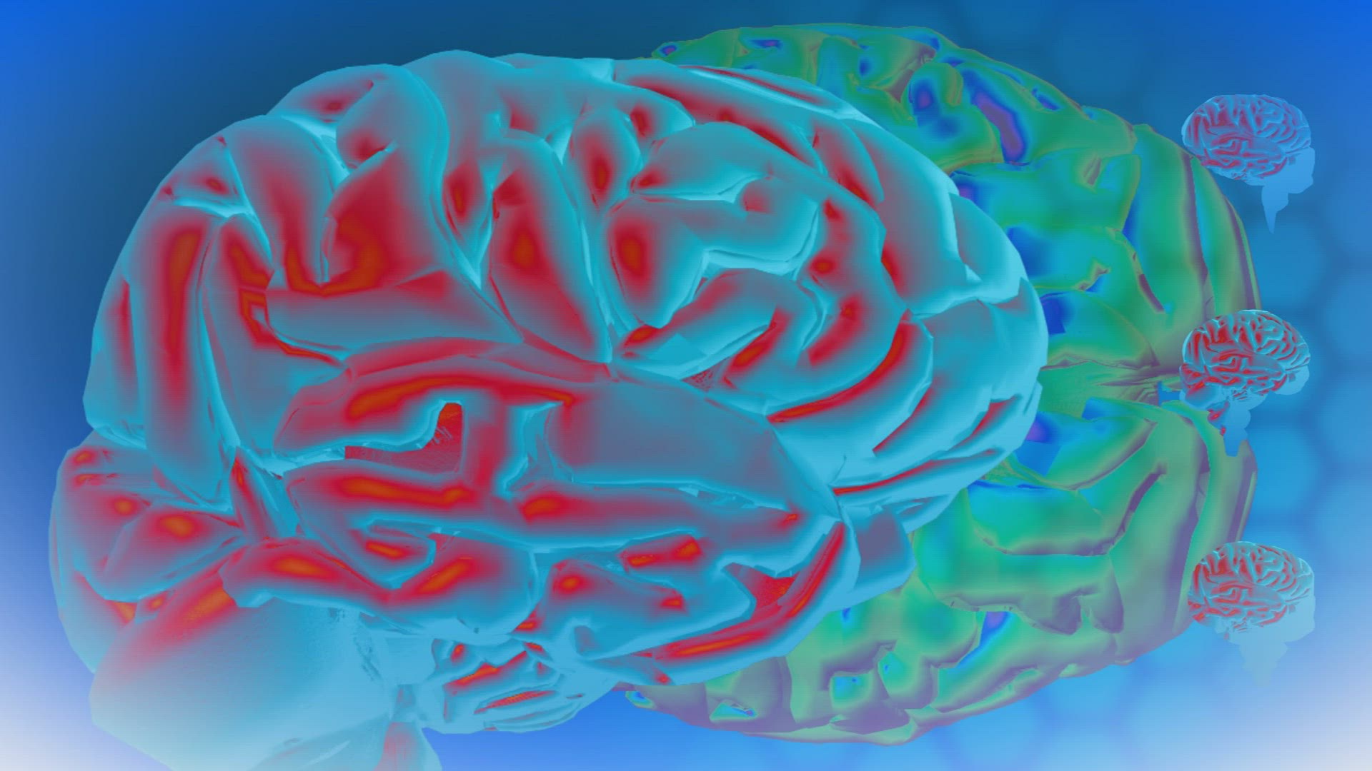 567016767 / Brain / Computer Animation