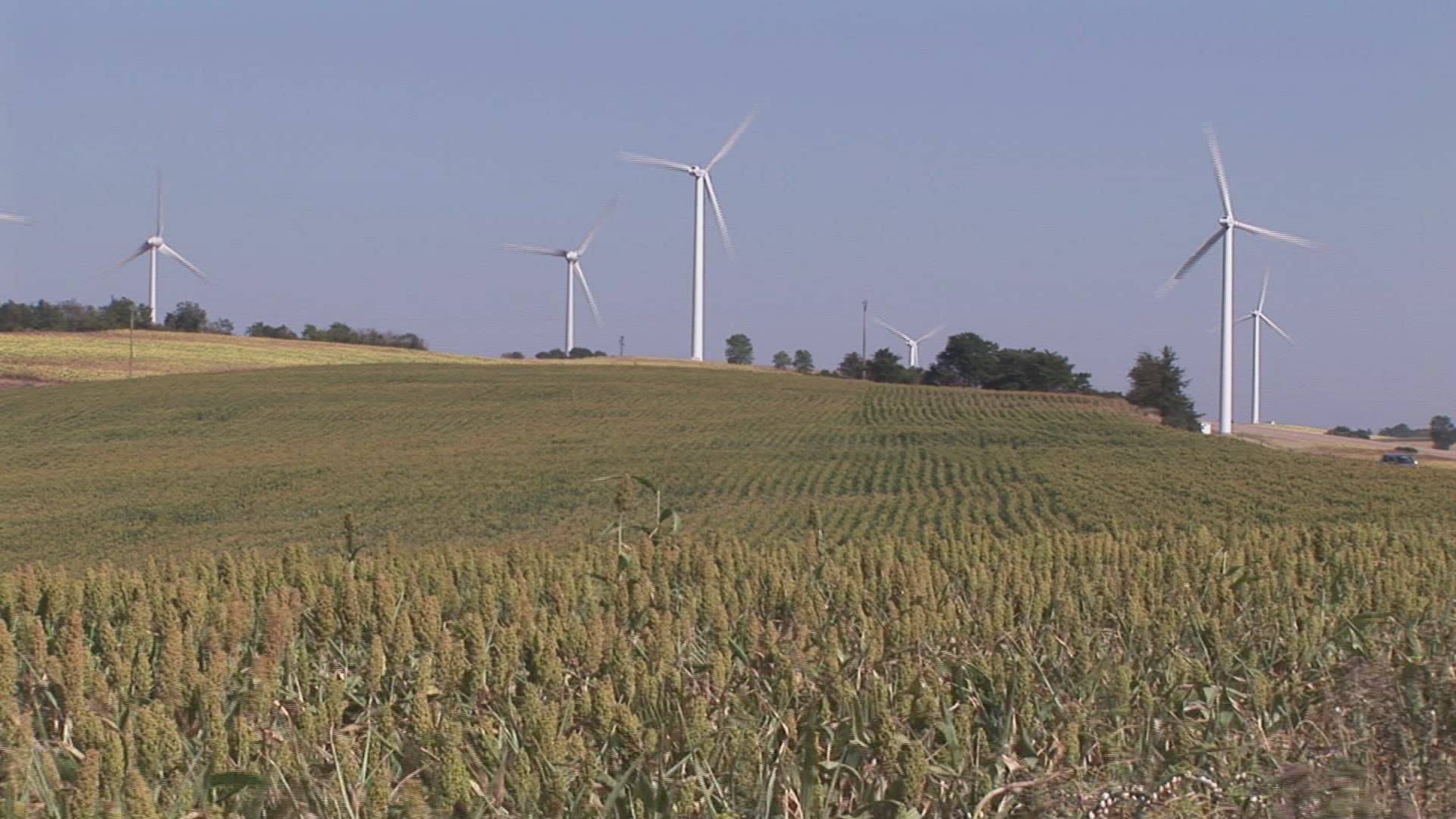 903147641 / Wind Wheel / Waving / Field