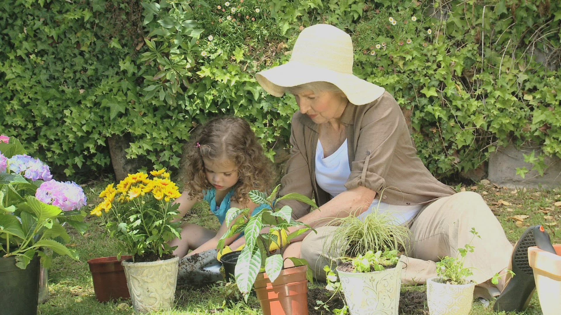 407295298 / Active Seniors / Gardening / Recreational Activities