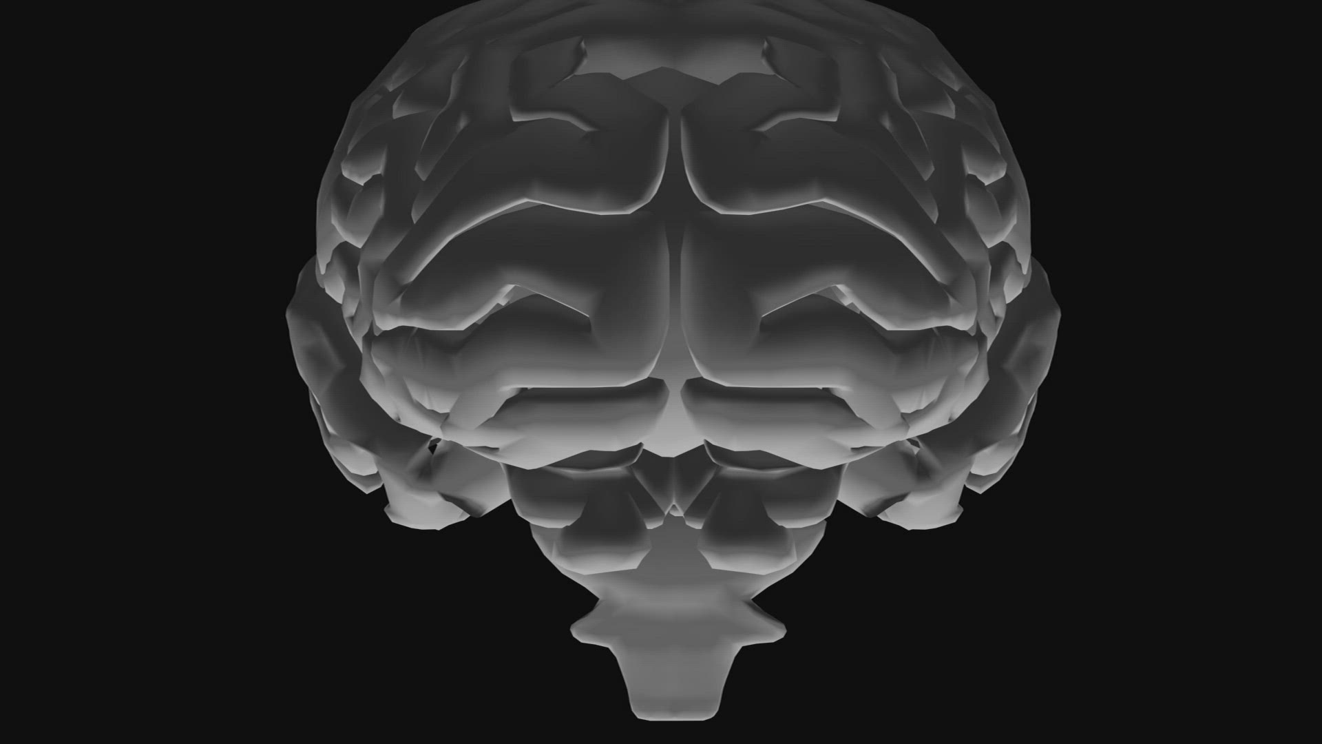196487458 / Skull / Central Nervous System / 3D Animation