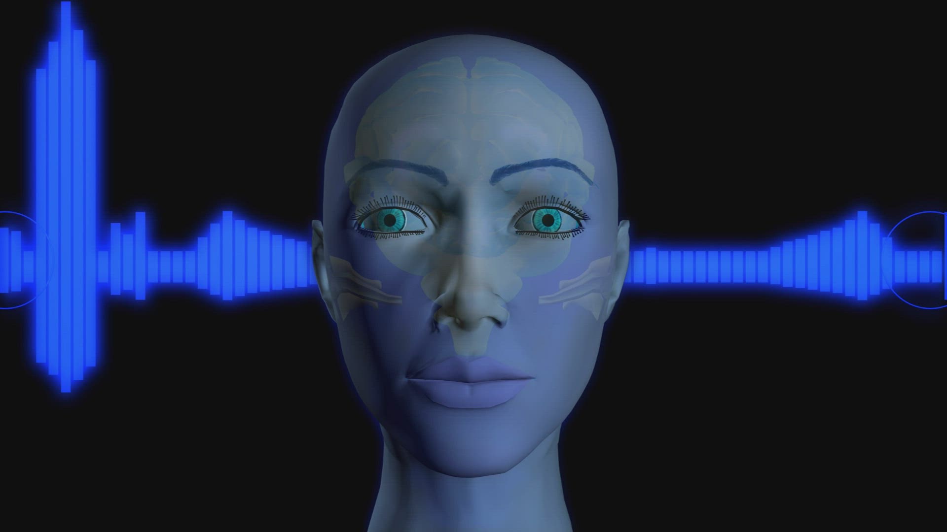 502628581 / Skull / Central Nervous System / 3D Animation
