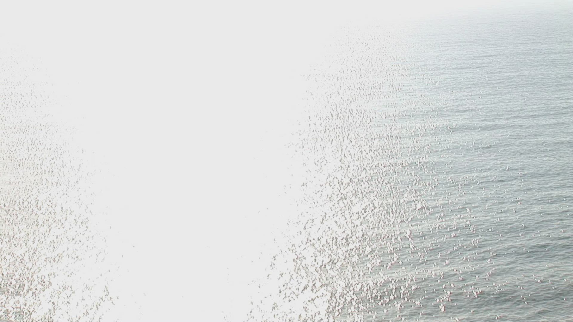 691120175 / Woman / Vitality / Seascape