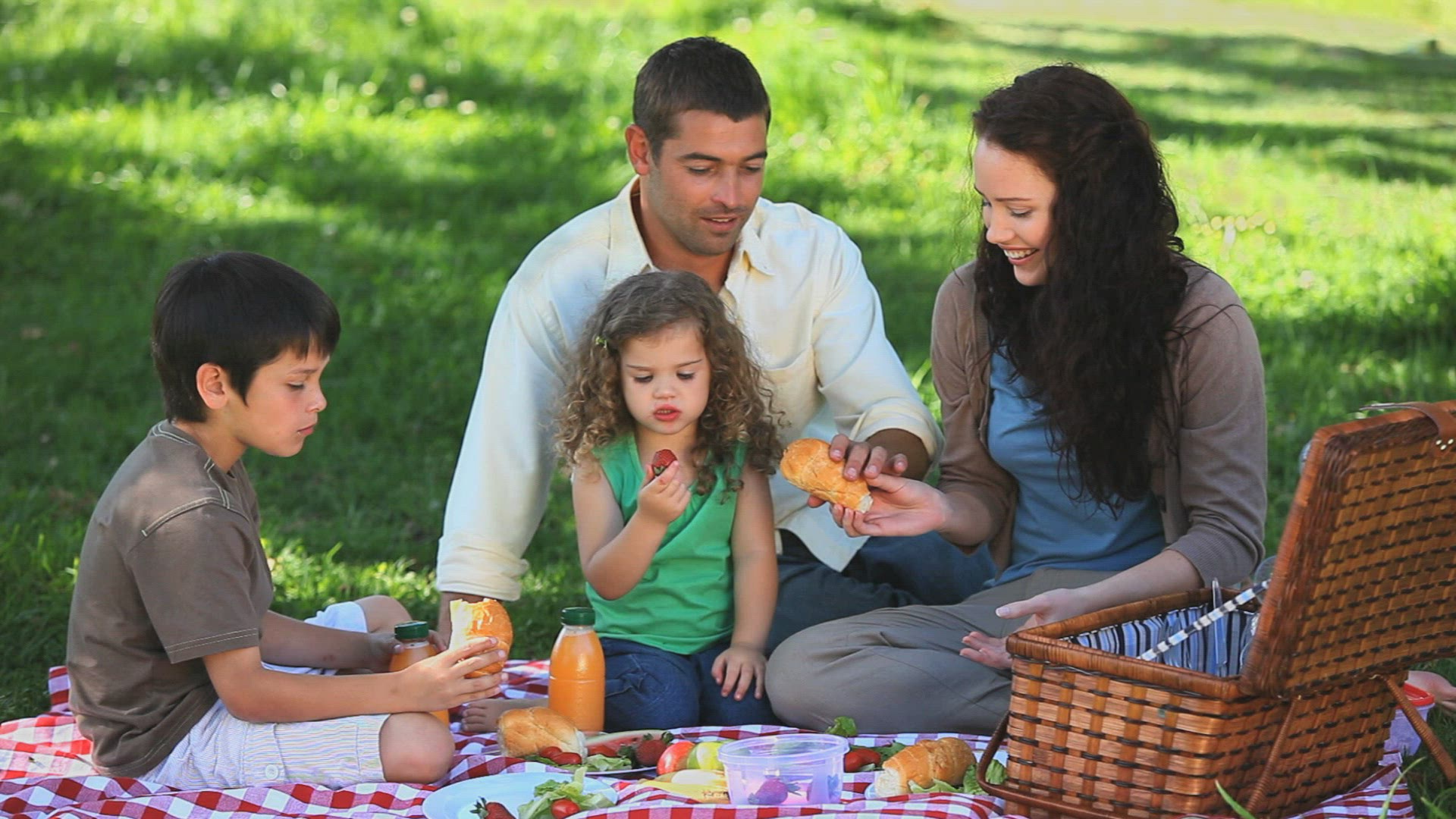 160578020 / Family / Happiness / Picnic