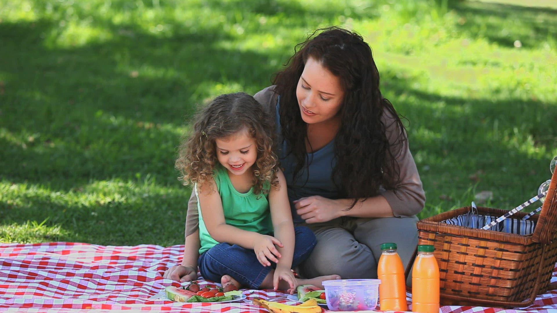 982896776 / Family / Happiness / Picnic