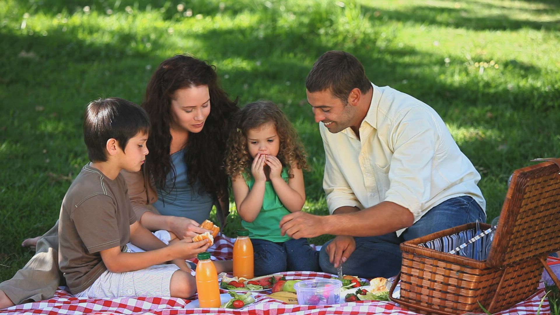 743837400 / Family / Happiness / Picnic