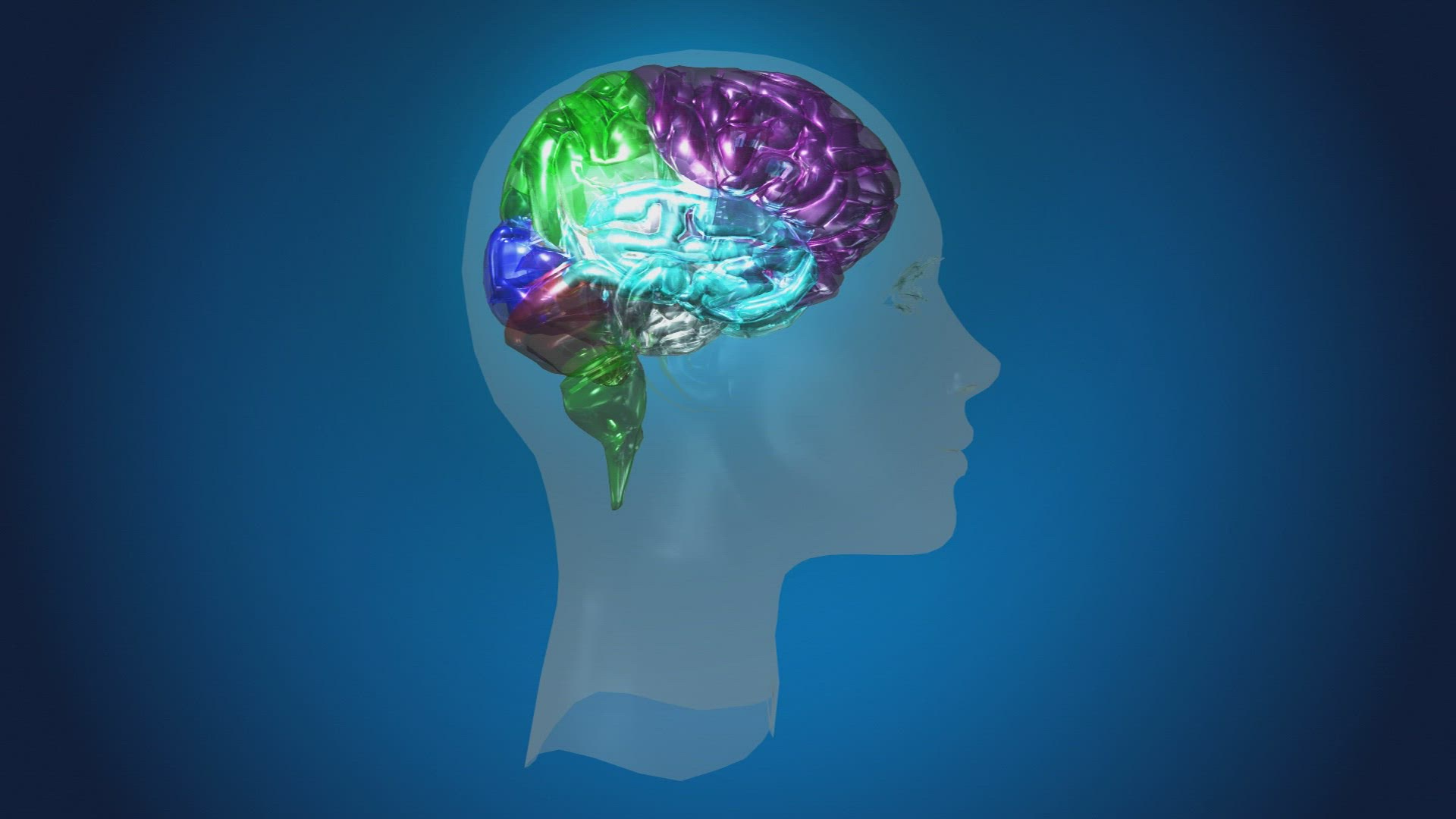 415515121 / Brain / Computer Animation