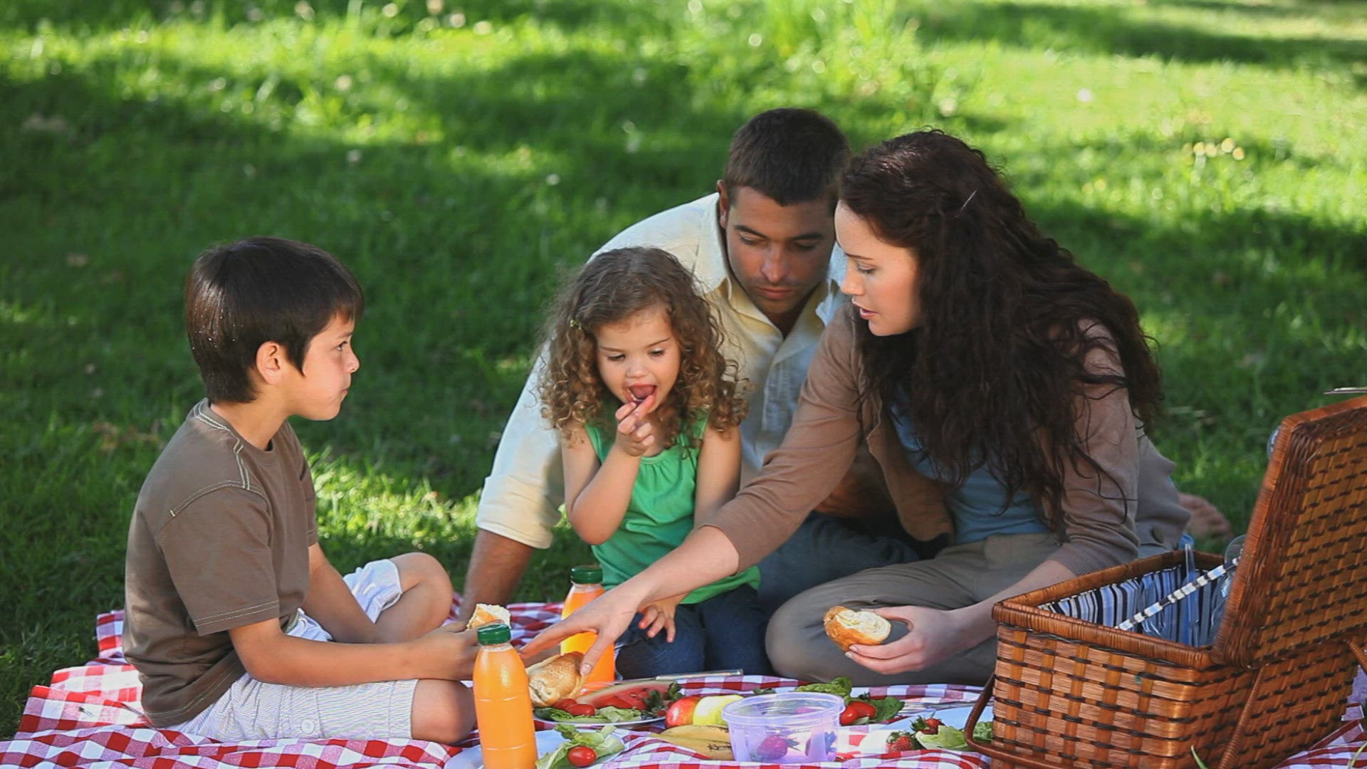 177079210 / Family / Happiness / Picnic