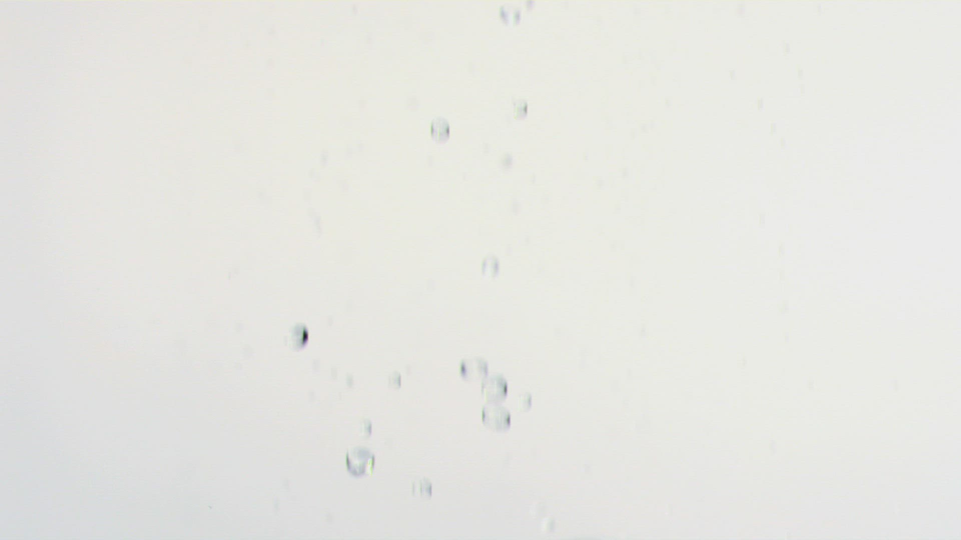 311511563 / Drop / Falling / Transparent