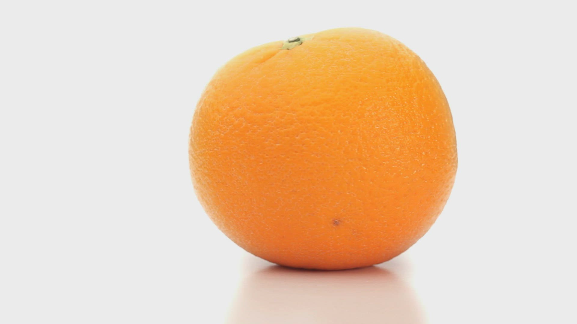 766338520 / Gourmet / Lime / Tropics