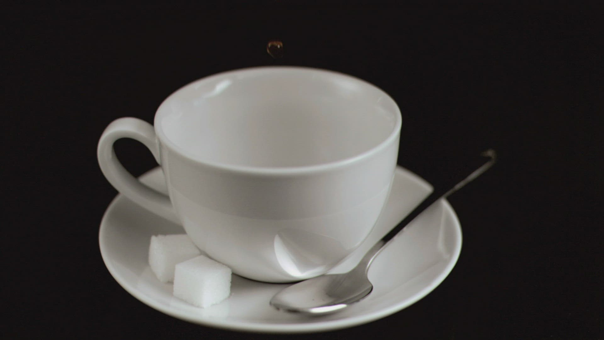 973629982 / Coffee / Coffee Cup