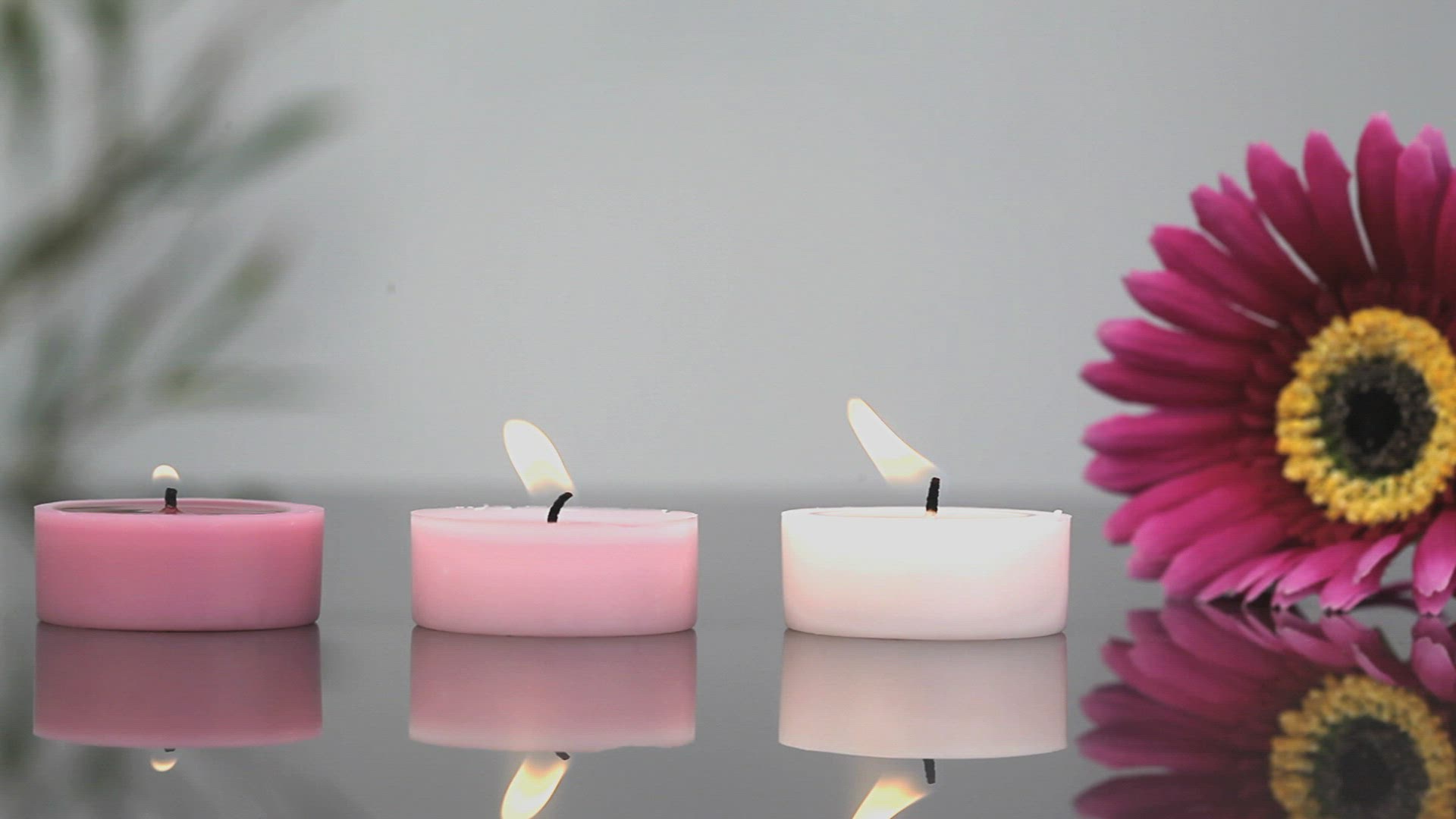 611018463 / Candle / Zen / Aromatherapy