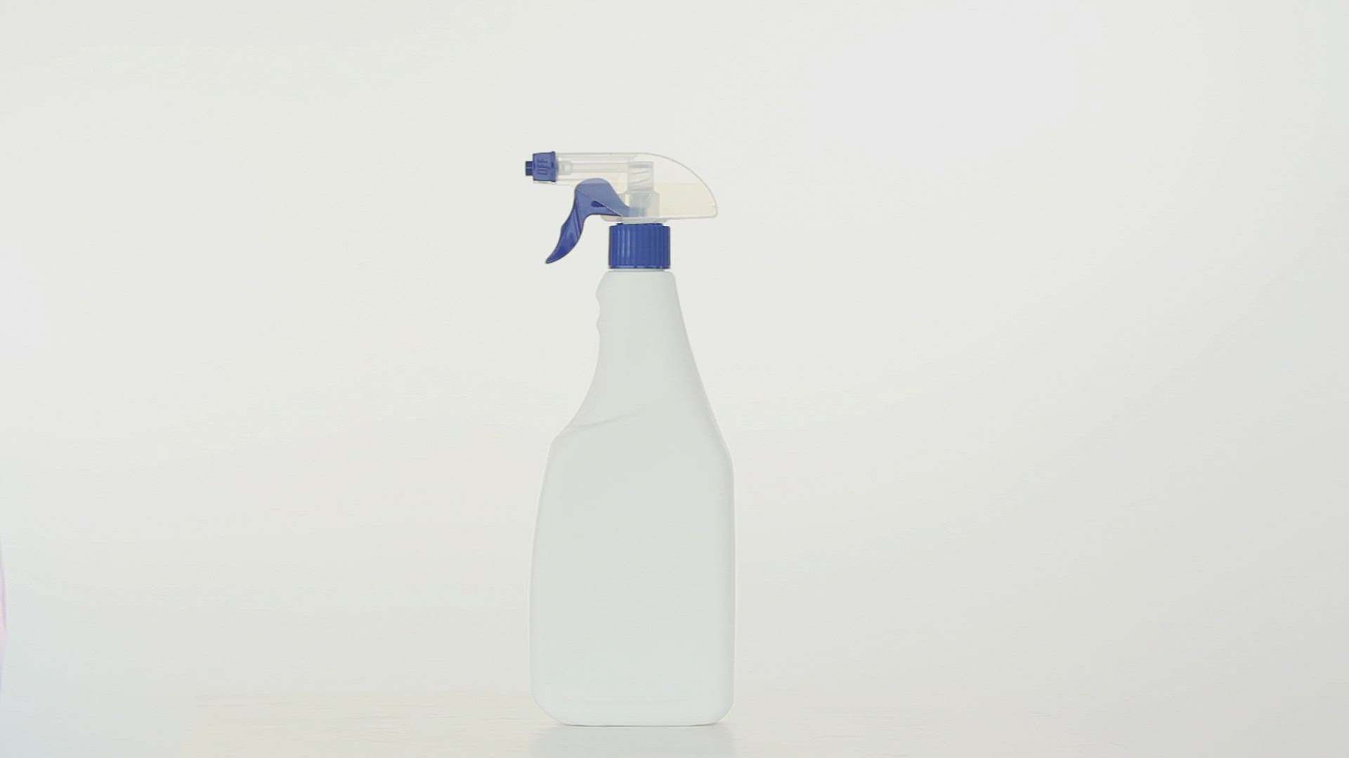 727808745 / Spray Bottle / Cleansing