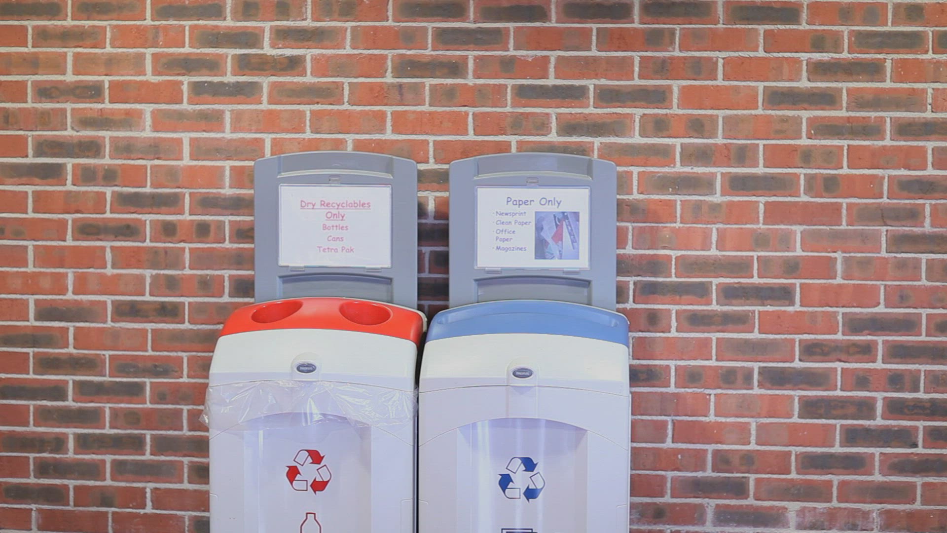 177978145 / Woman / Recycling / Recycling Bin