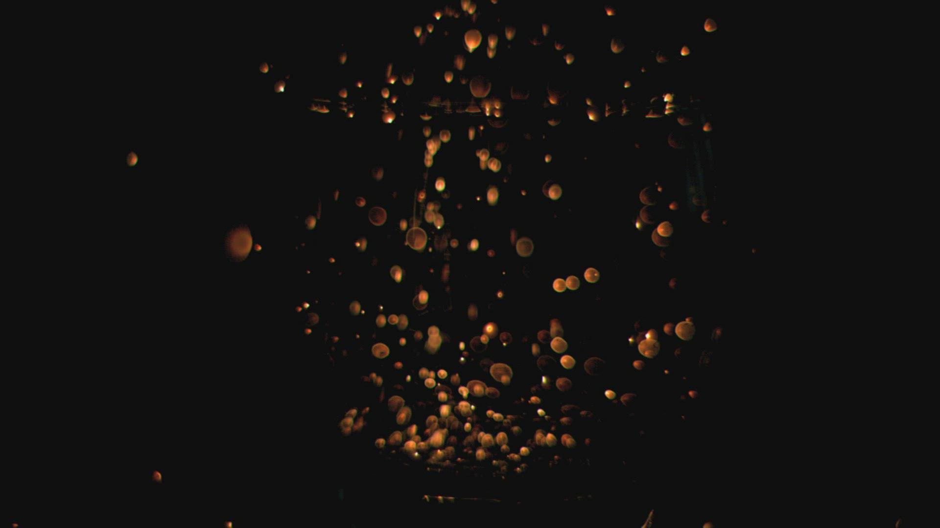 732803342 / Spark / Fire / Flying