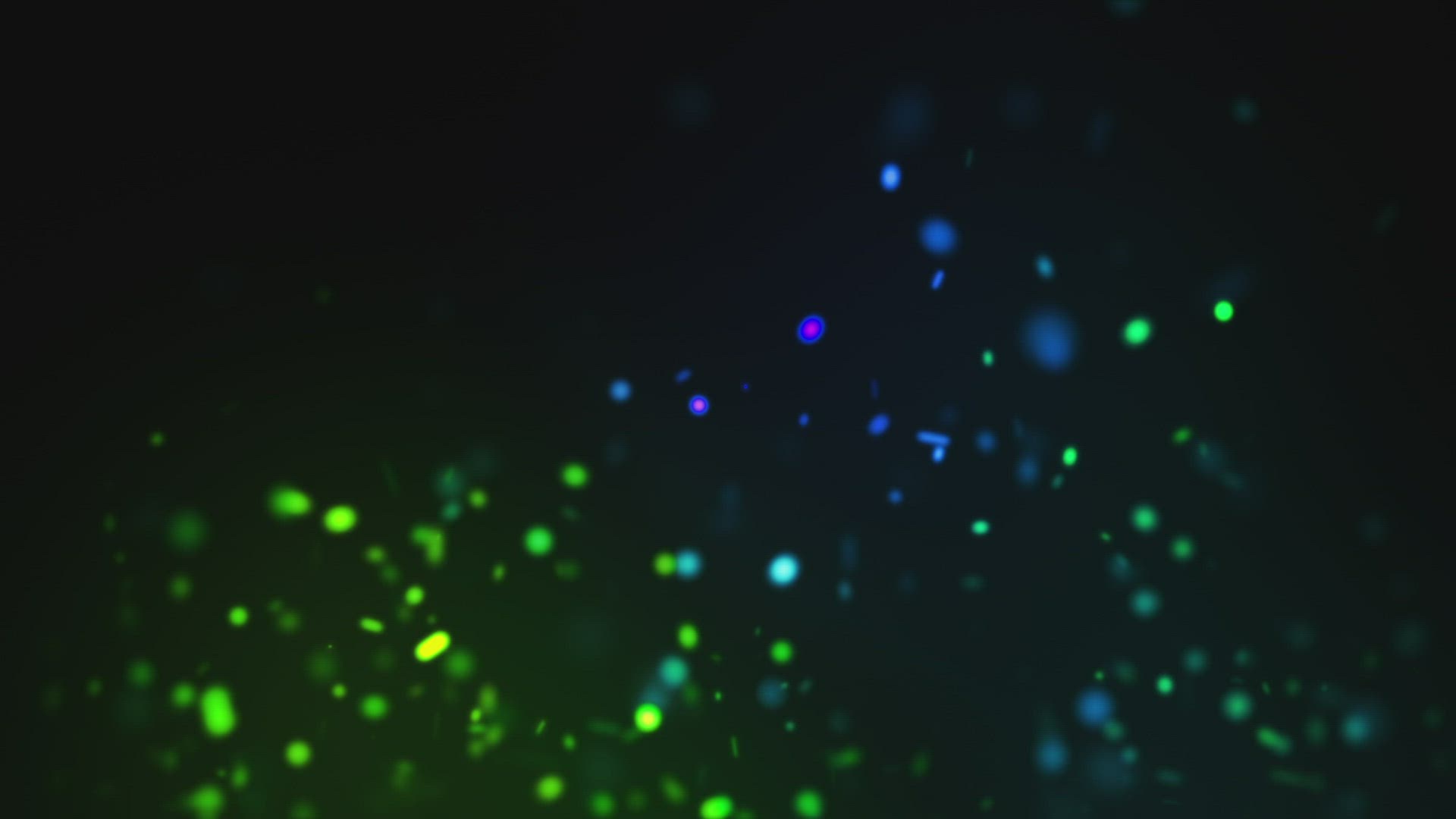 393507958 / Twinkling / Moving / Light Reflection / Animation / Background