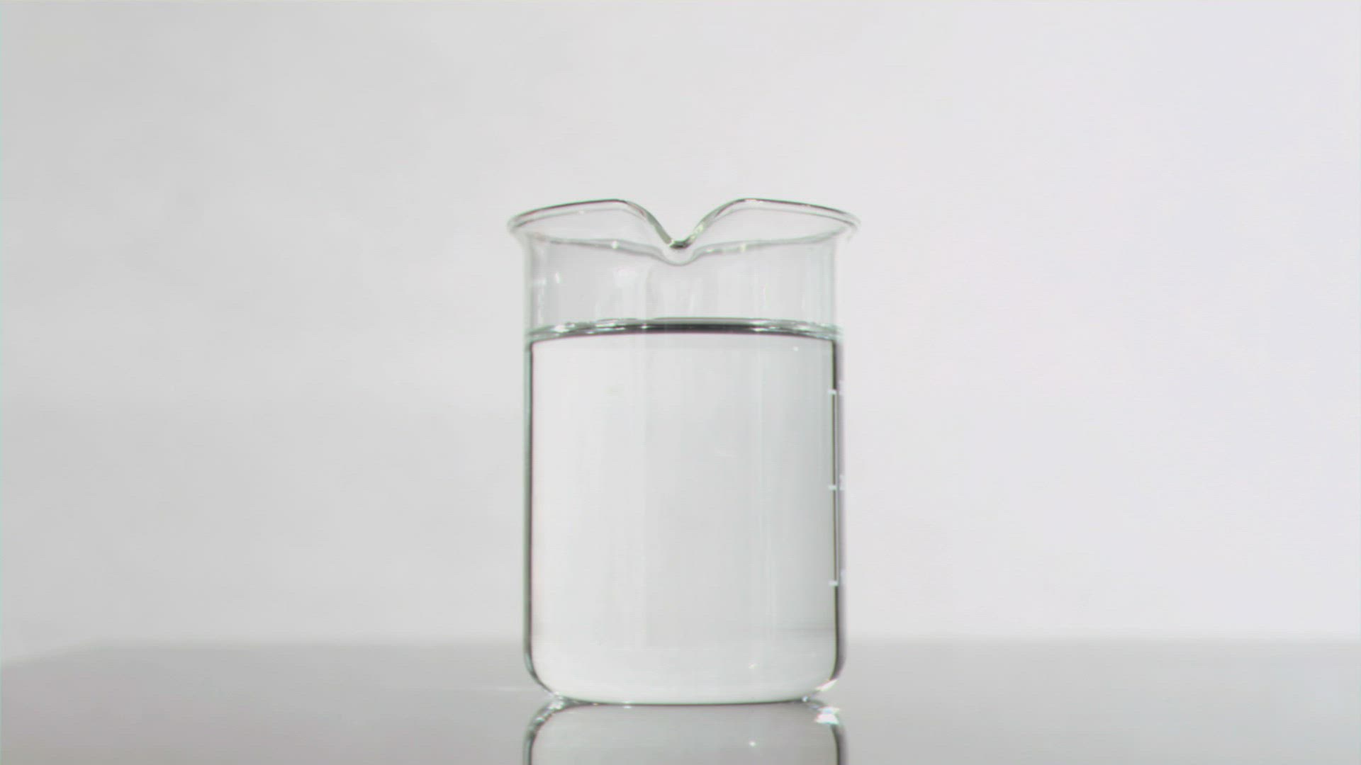 669555814 / Glass / Beer Glass / Beer Jug