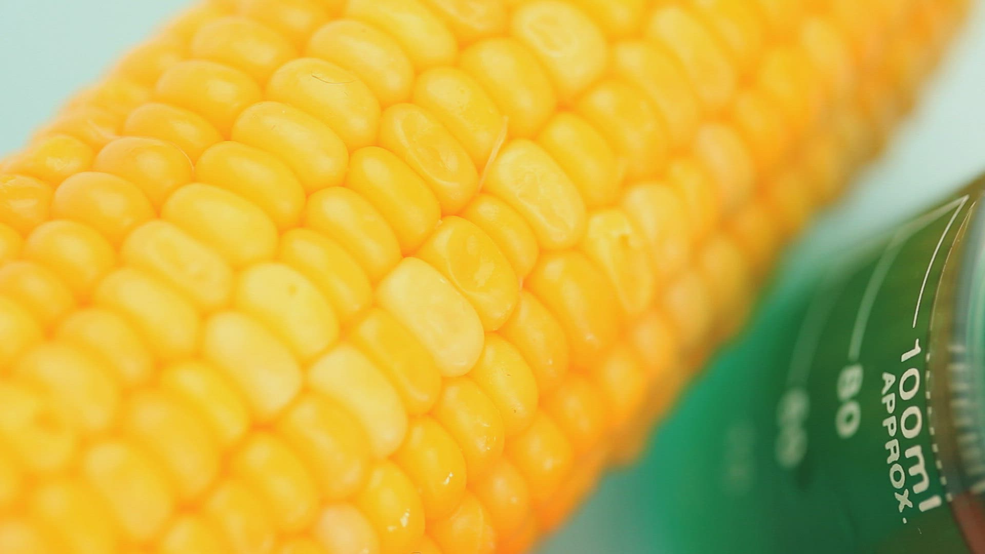 311815844 / DNA / Corn Kernel / Beer Jug