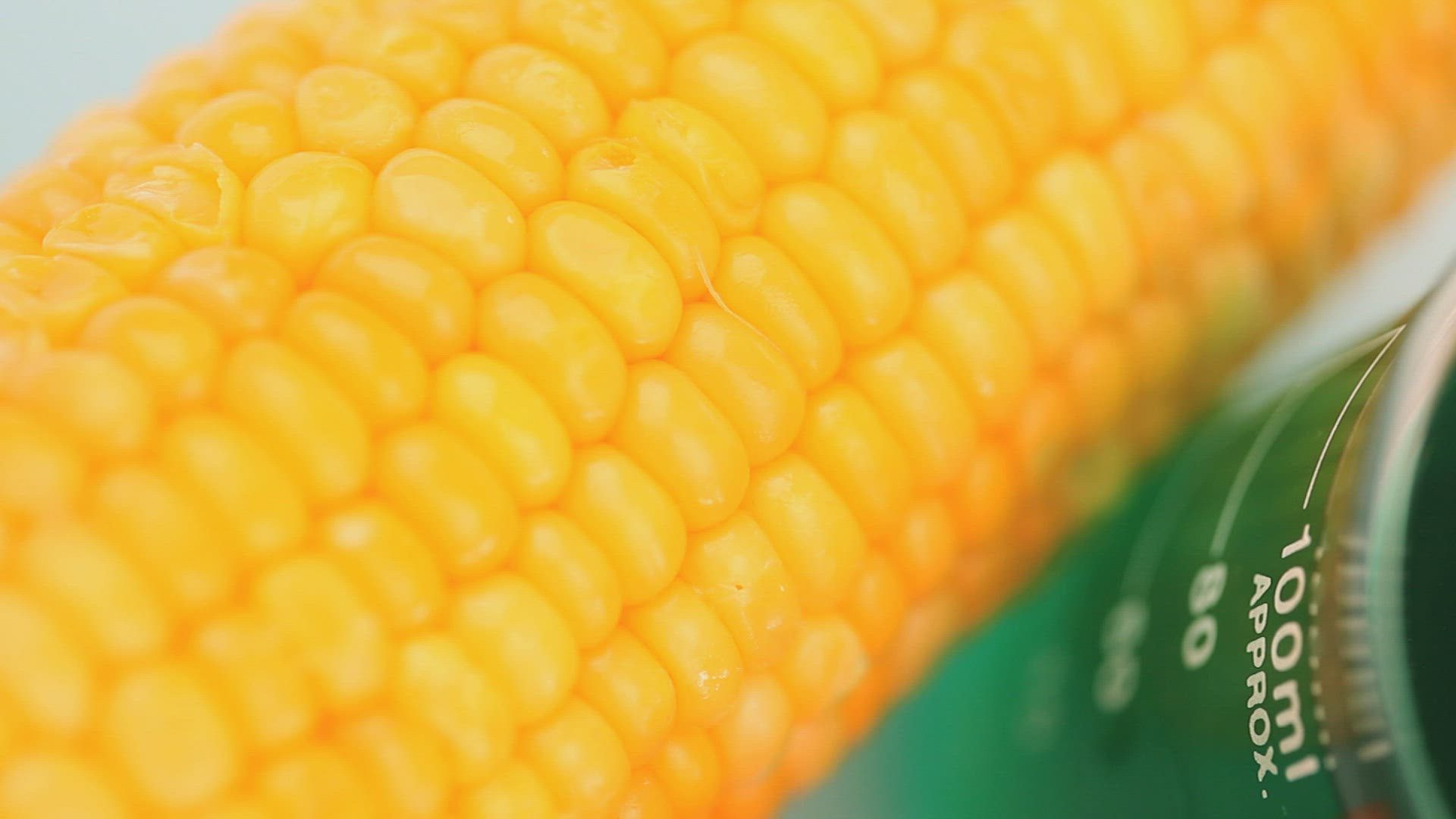 656464110 / DNA / Corn Kernel / Beer Jug