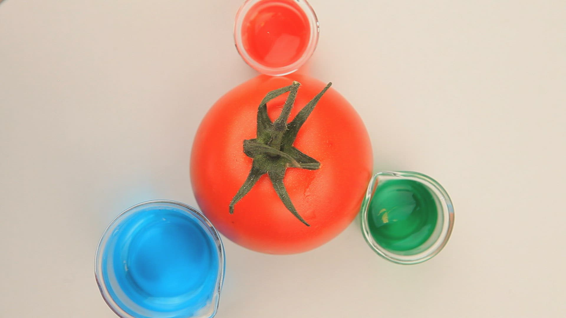 662882999 / DNA / Beer Glass / Beer Jug