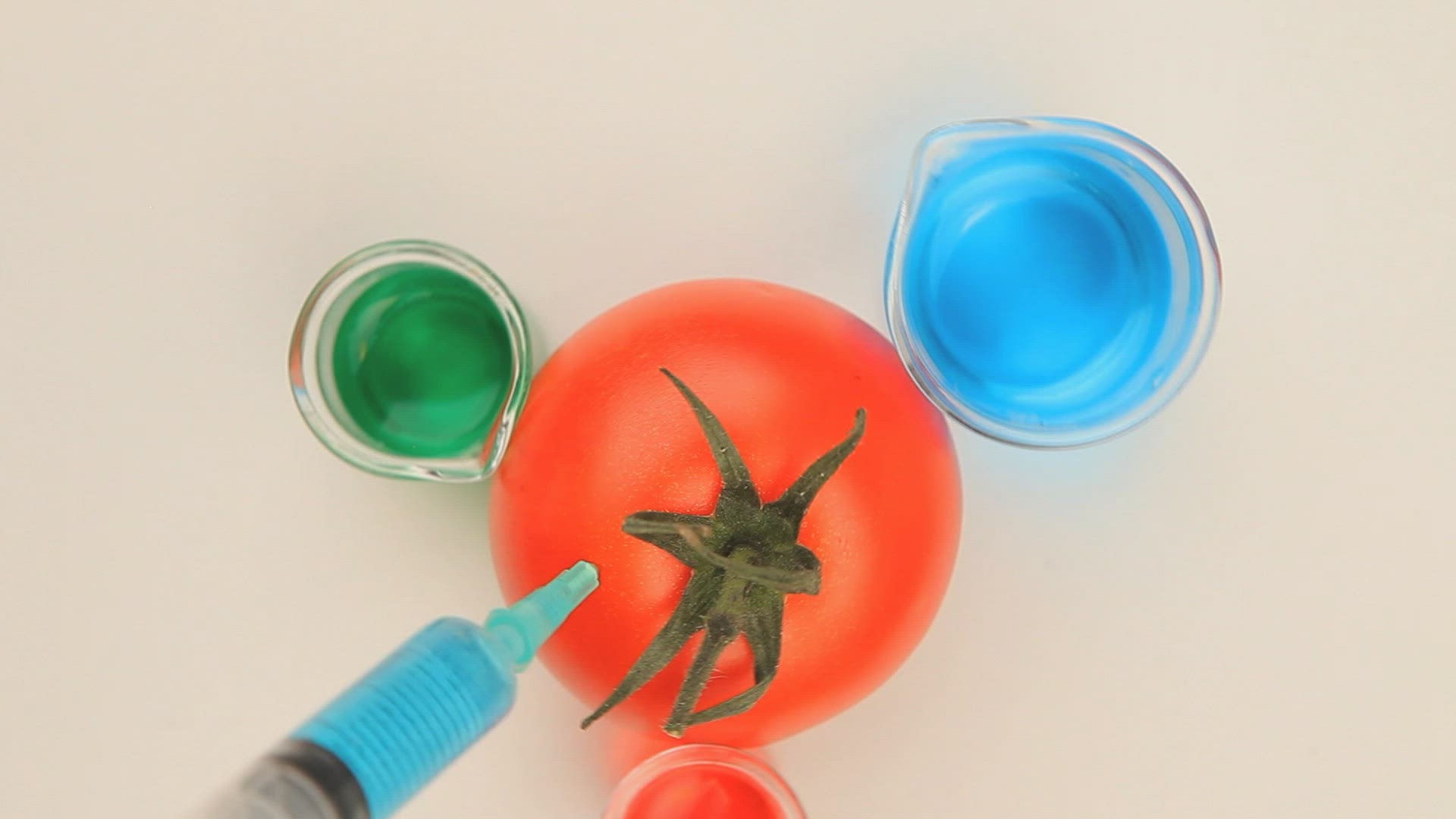 911270283 / DNA / Beer Glass / Beer Jug