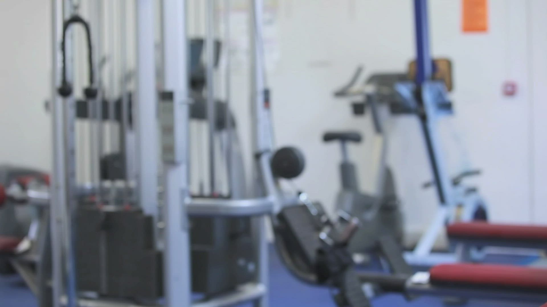 567234141 / Woman / Fitness Gym / Weight Training