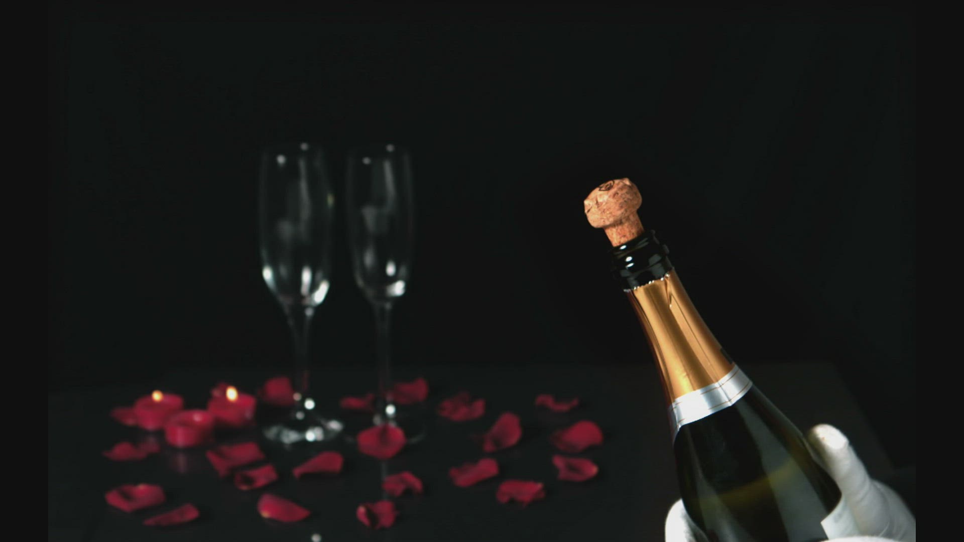 886264180 / Champagne / Champagne Glass / Partying