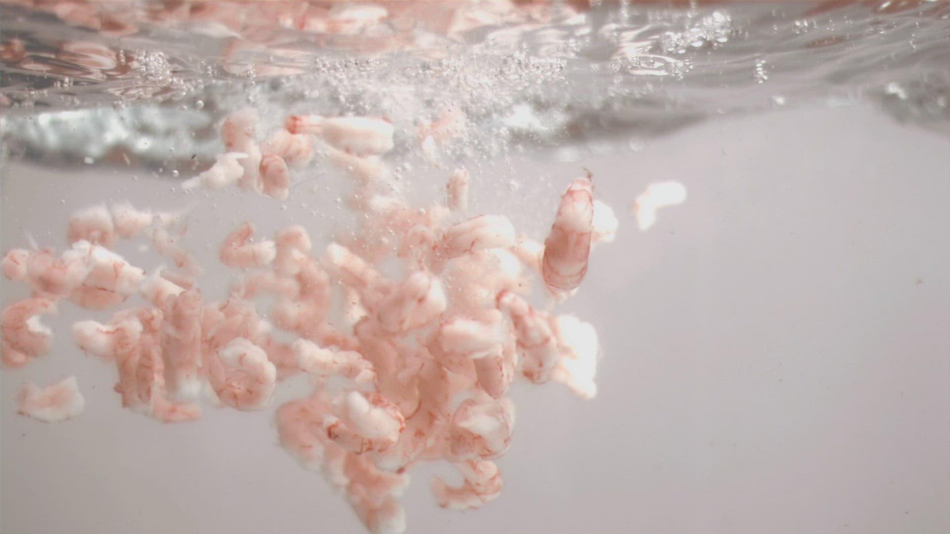 405978366 / Shrimp / Falling / Dunking