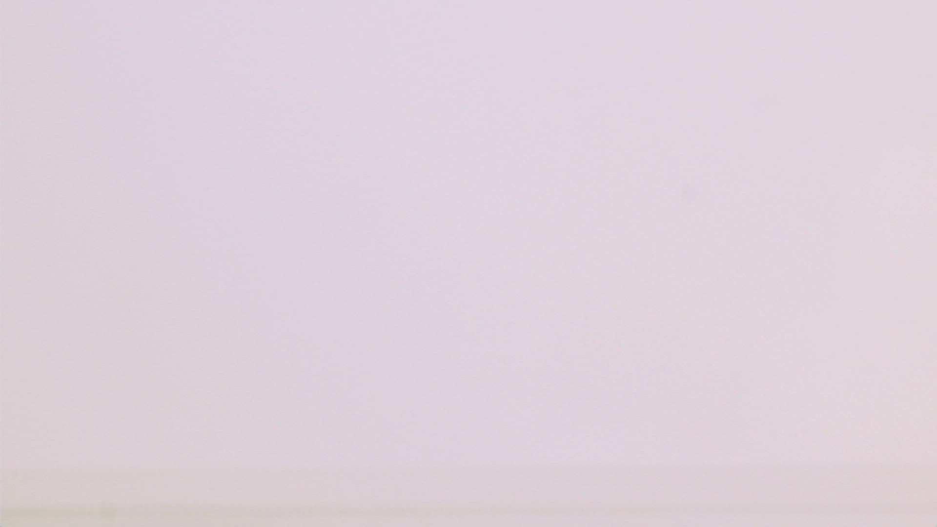 219385238 / Paint Splatter / Impact / High Speed