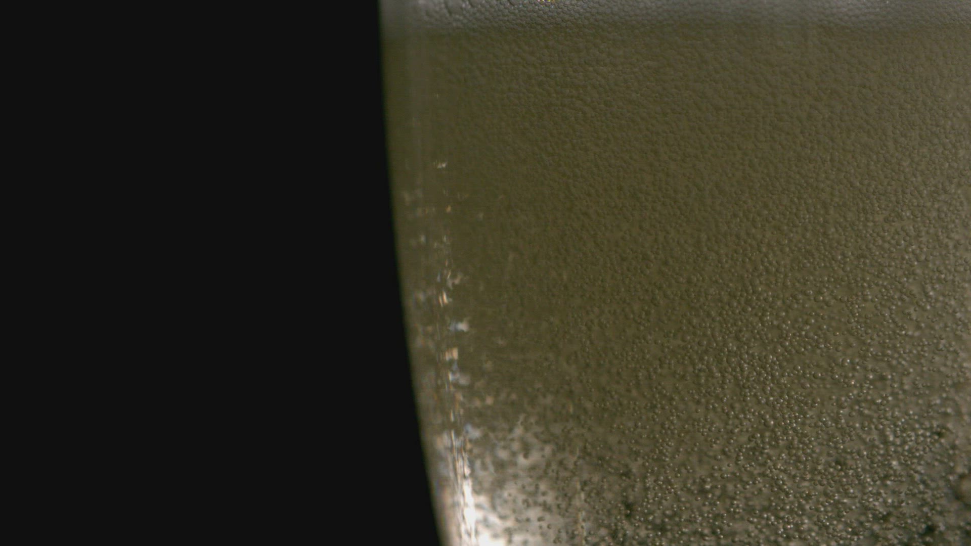 982215429 / Champagne / Glass