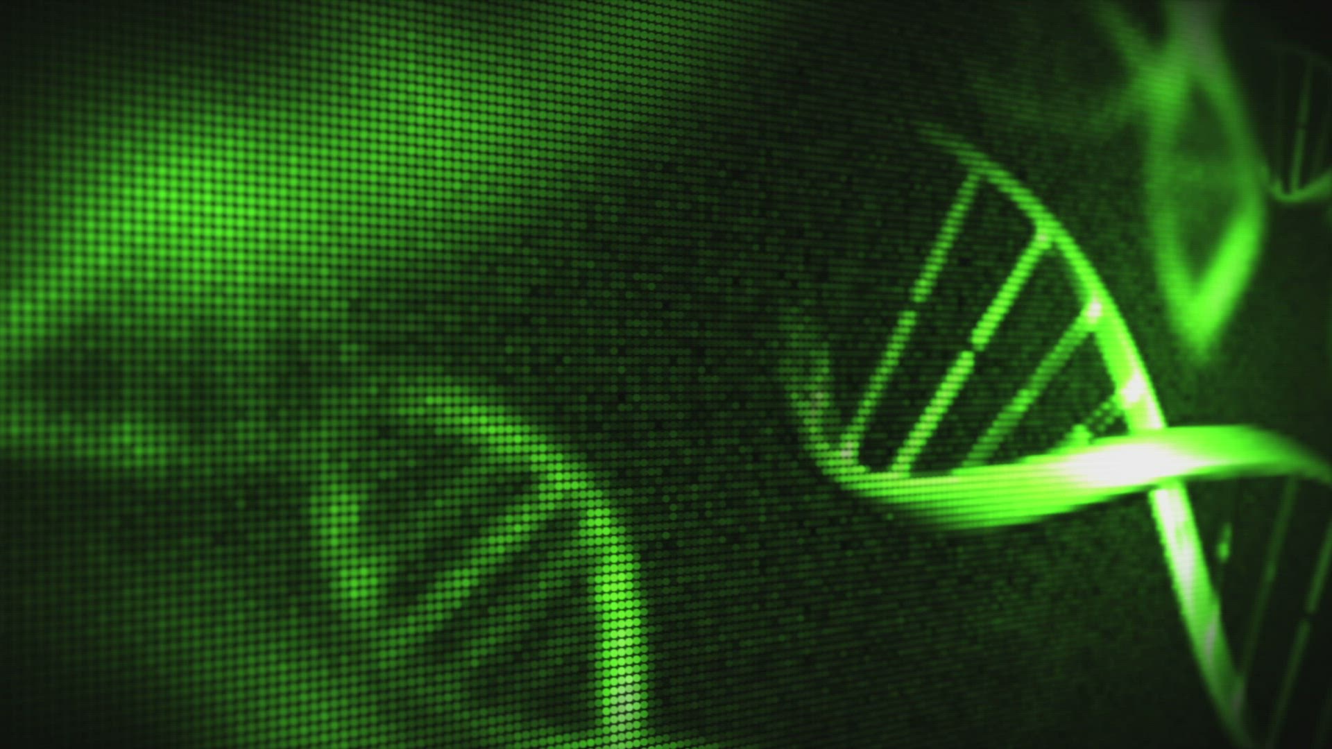 825816982 / DNA / Test / Gene