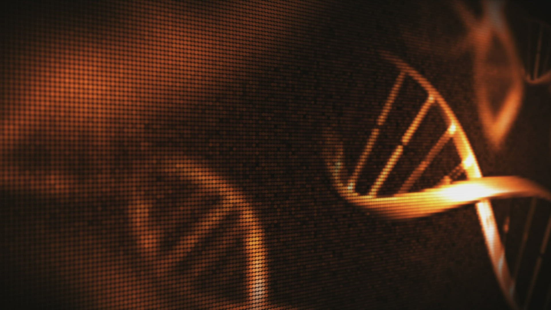 688567491 / DNA / Test / Gene