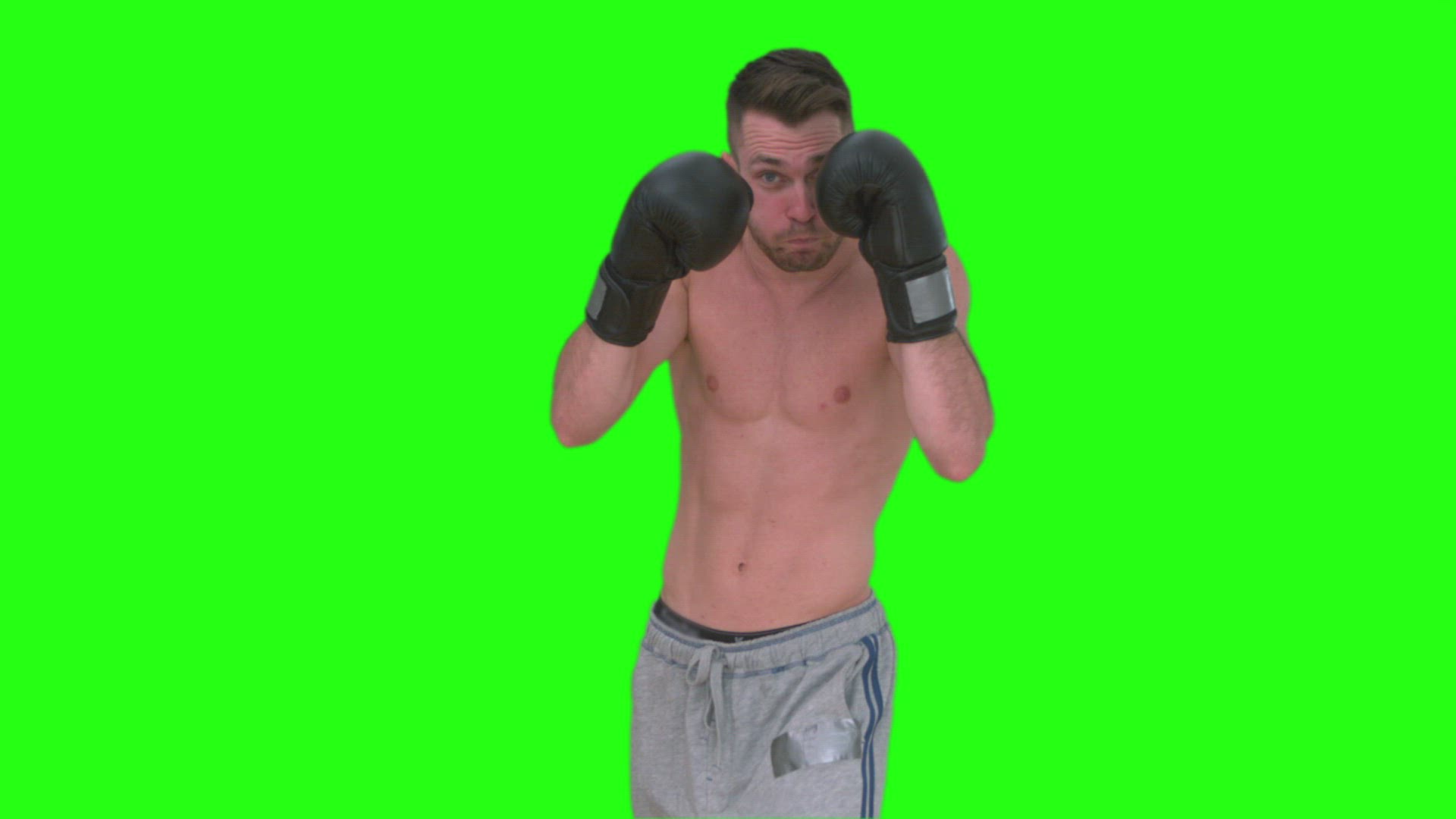 747372362 / Boxer / Martial Arts / Chroma Key