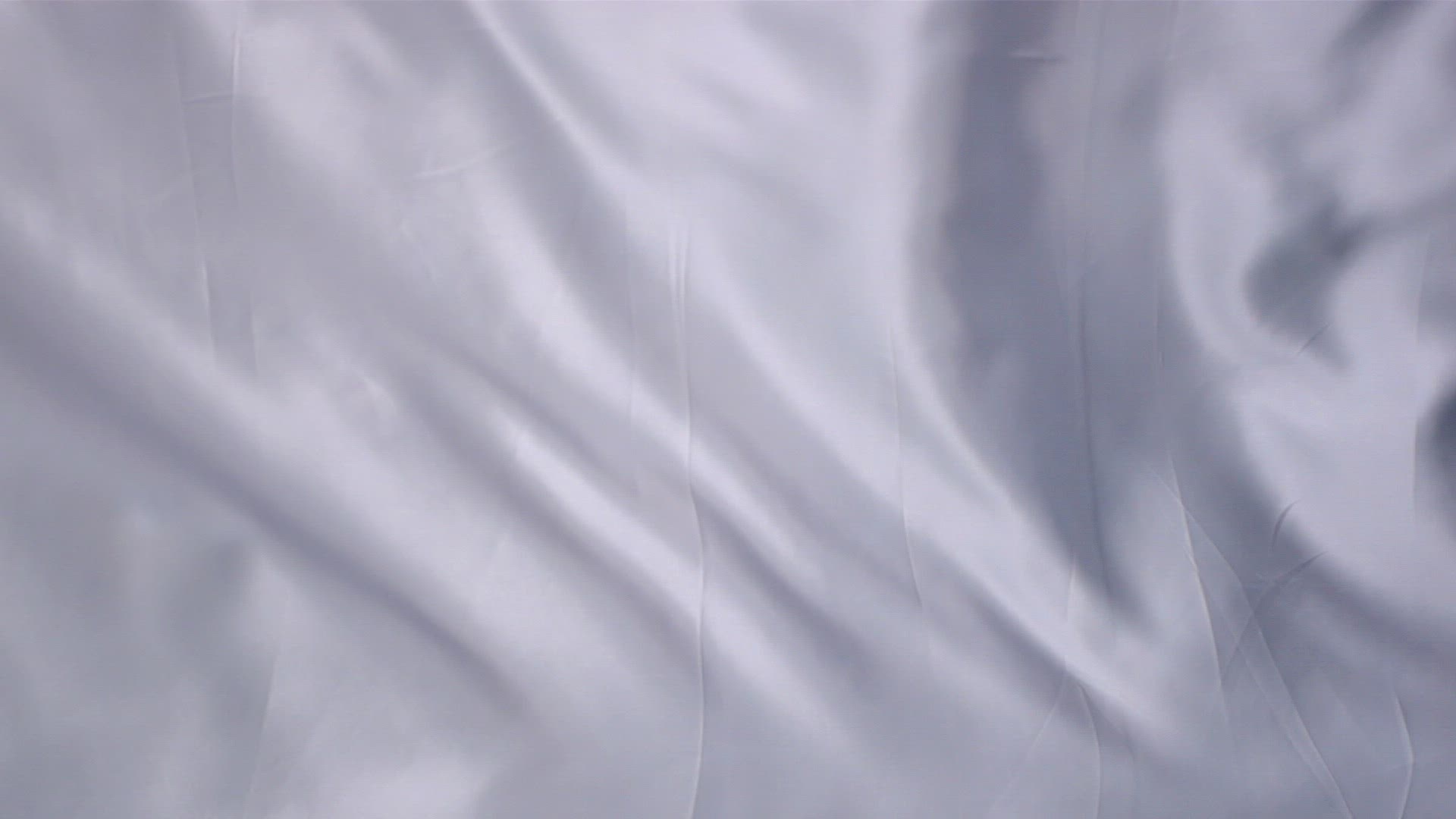 261035582 / Cloth / Wave