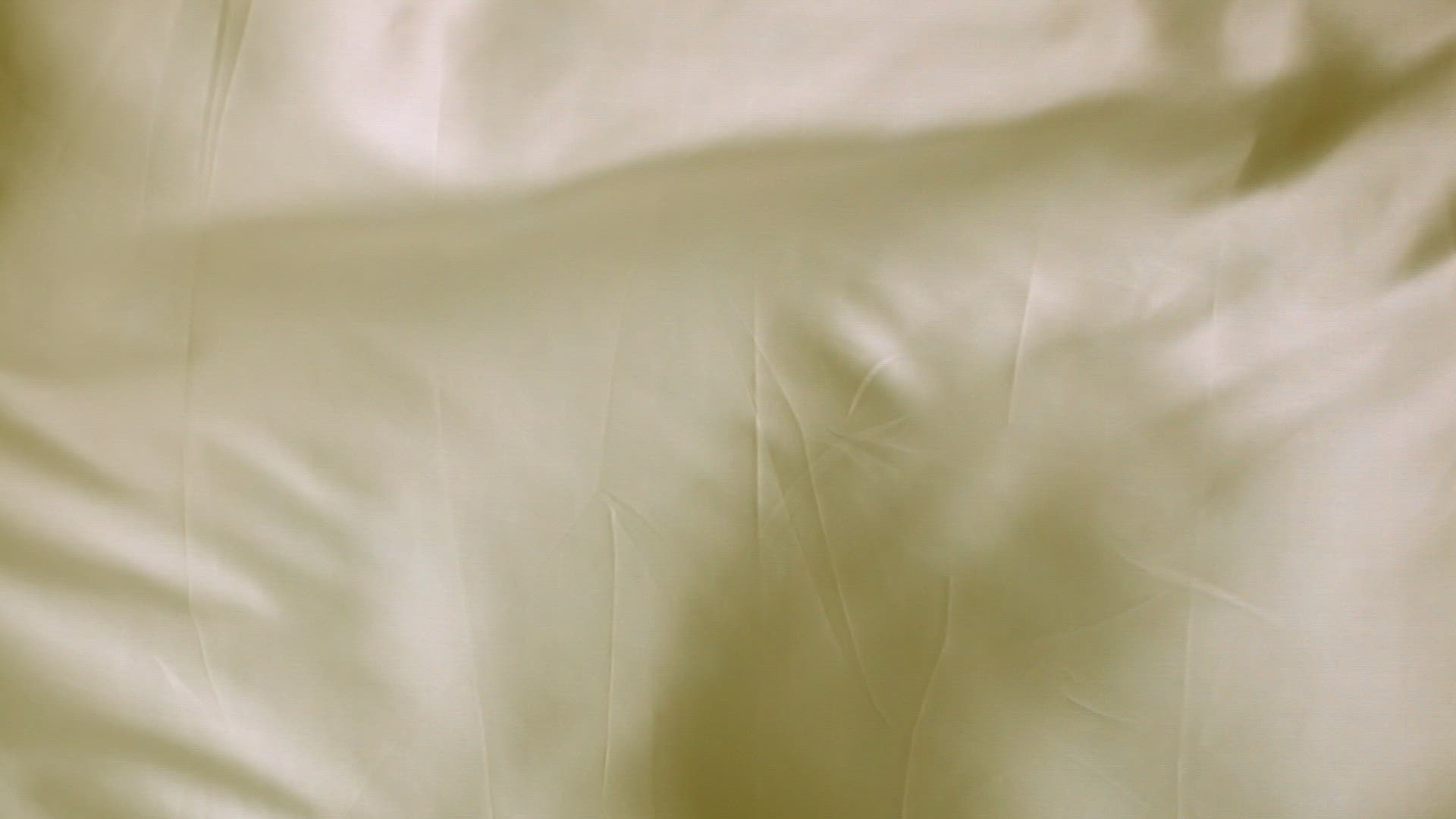 151901622 / Cloth / Wave