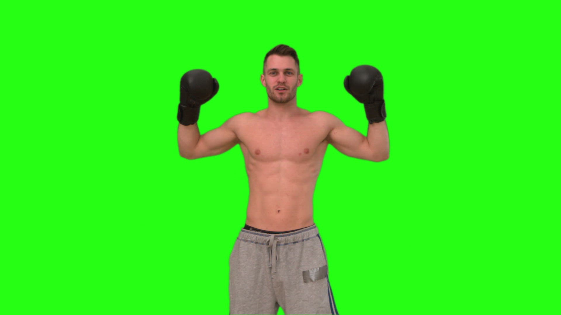 677682165 / Boxer / Cheering