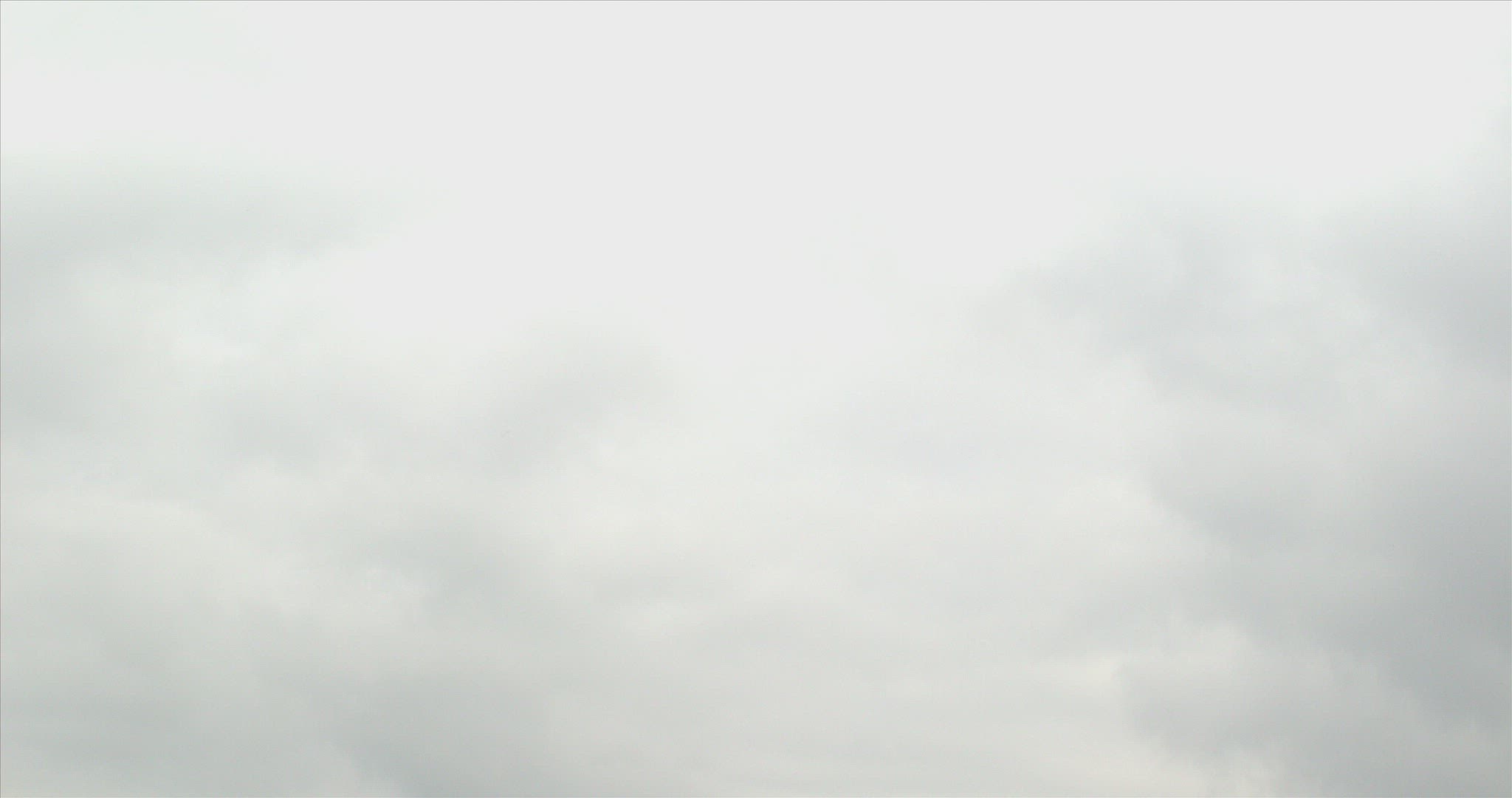 516569076 / Wind Turbine / Meadow