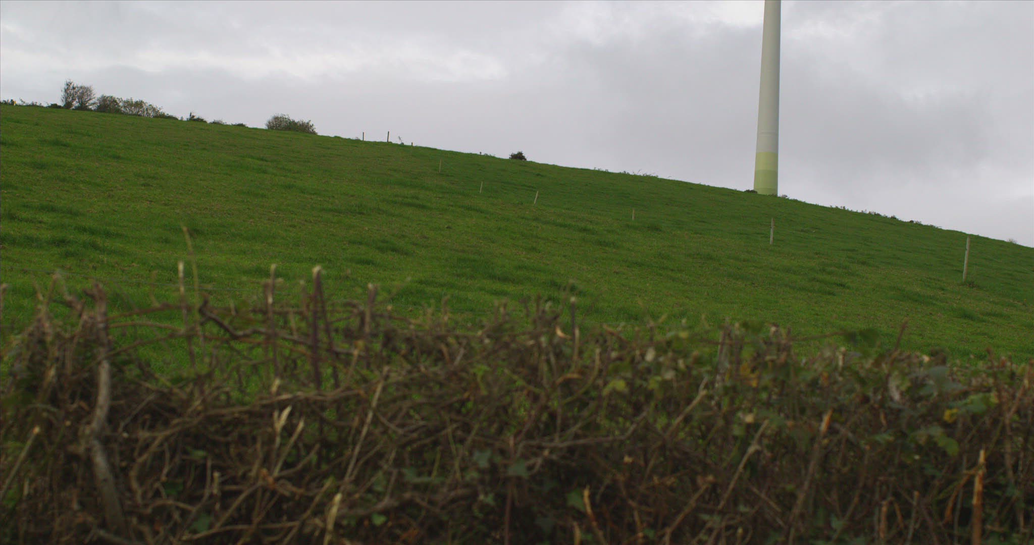 204074167 / Wind Turbine / Meadow