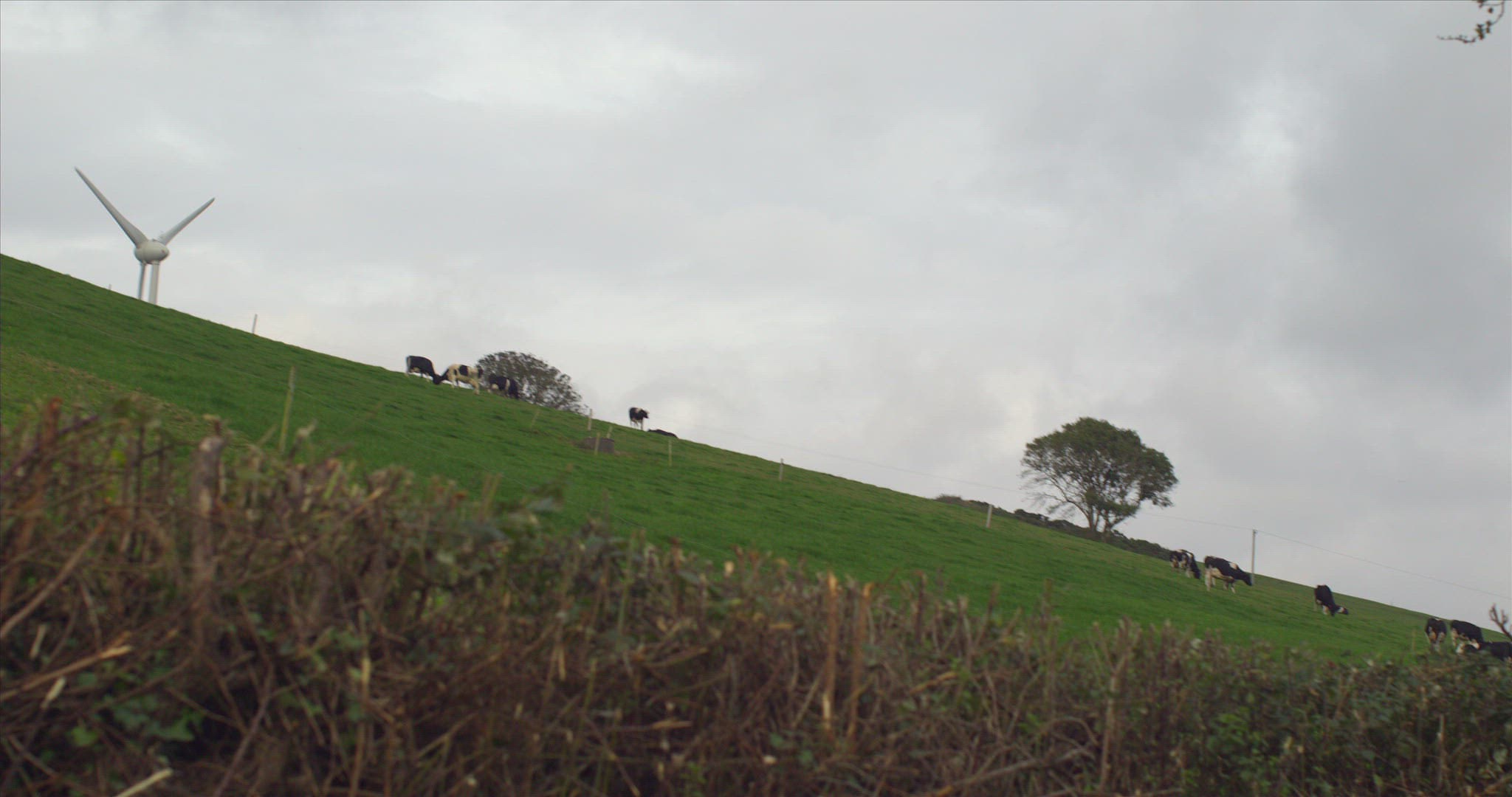 909614765 / Wind Turbine / Meadow