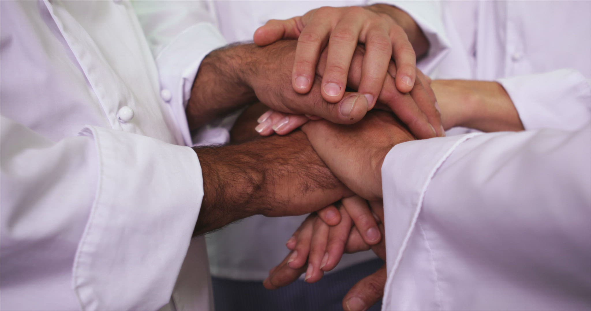 805989947 / People / Cook