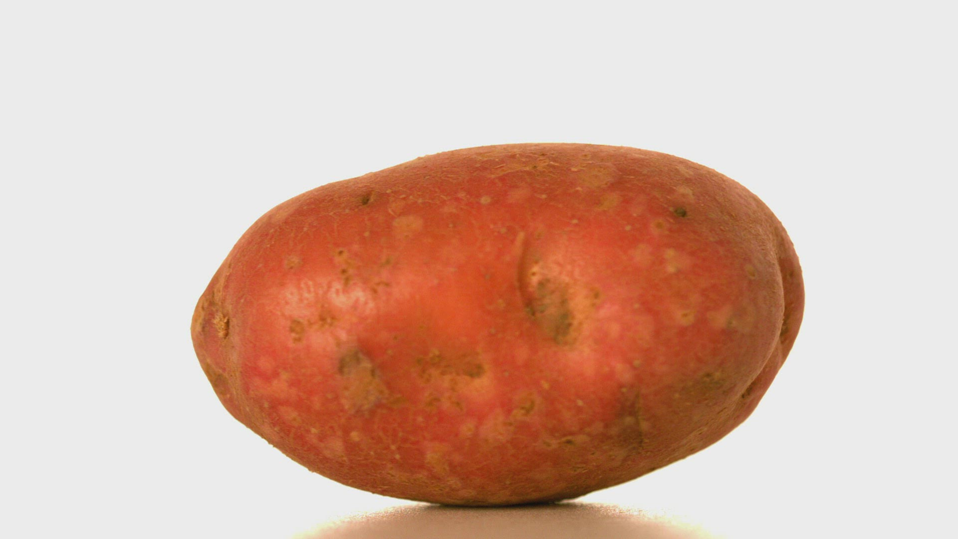 911626506 / Food / Moving / Organic Food