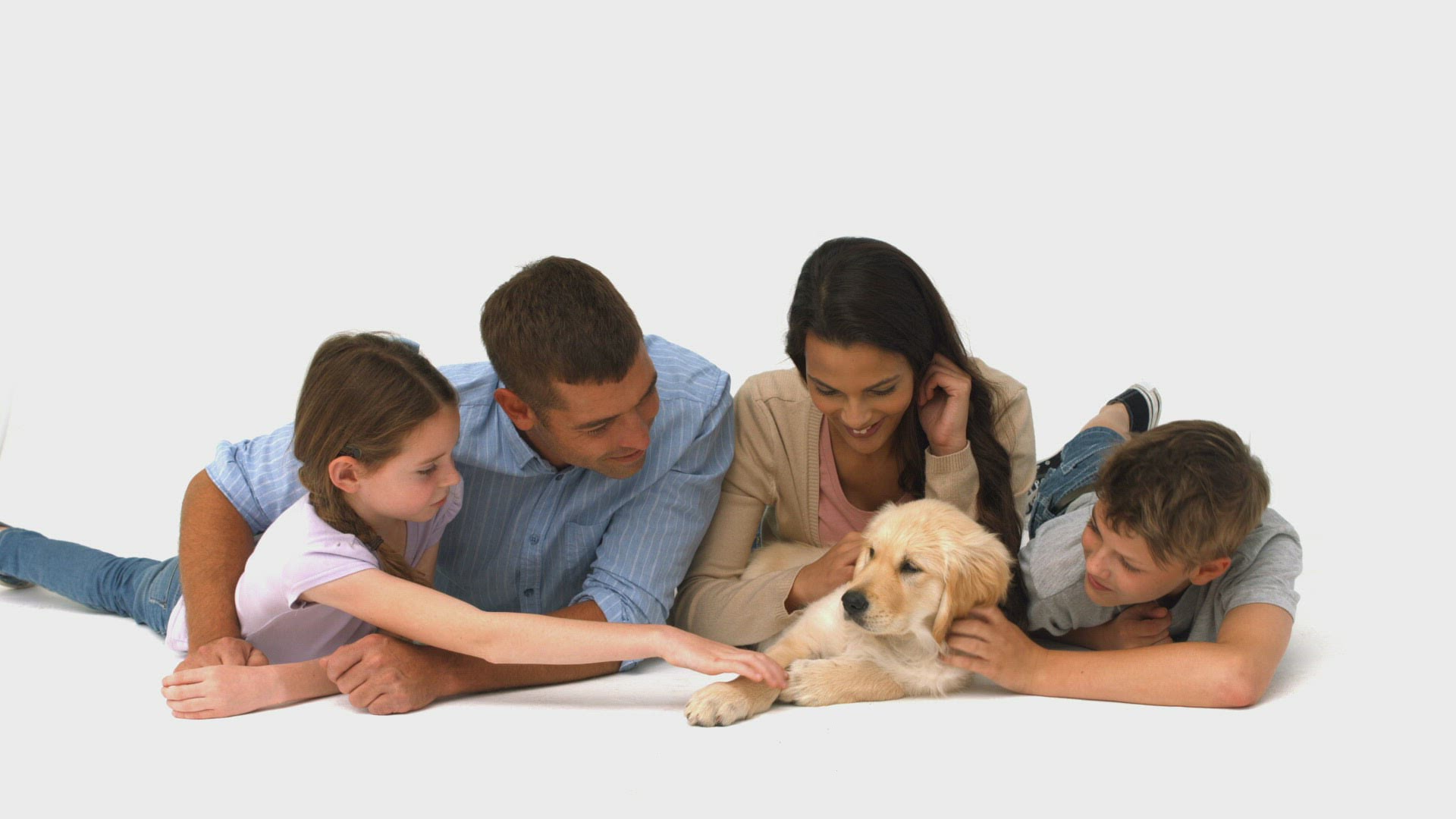 443359533 / Golden Retriever / Smiling / Lying