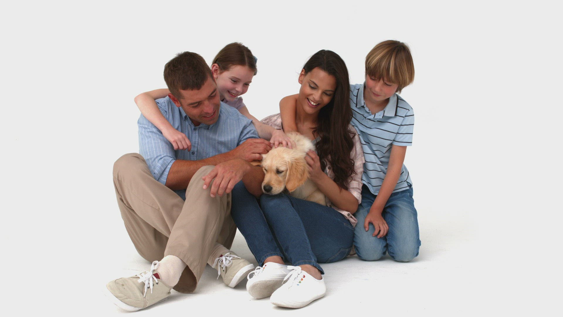 541918532 / Golden Retriever / Smiling / Retriever