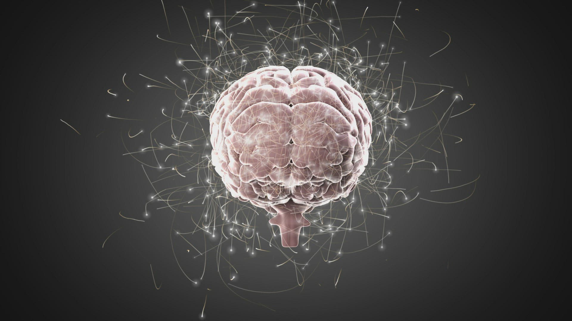 792676044 / Animation / Brain